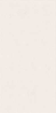 Настенная плитка Wide and Style Mini Snow Ret 60x120 матовая керамическая