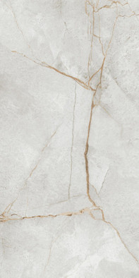 Керамогранит 60120PEC15P Special Marmo Gray полированный 60x120 LCM универсальная плитка