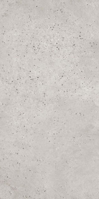 Керамогранит Tokio-R Cemento Vives 60x120 матовый универсальный фото Керамогранит Tokio-R Cemento Vives 60x120 матовый универсальный