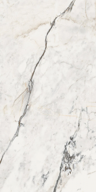 Керамогранит AePao612Rm 60х120 La Faenza Monoceram матовый универсальный