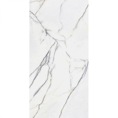 Керамогранит Panda White 60x120х5 Matt Staro матовый универсальный С0005002 фото Керамогранит Panda White 60x120х5 Matt Staro матовый универсальный С0005002