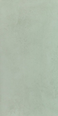 Настенная плитка W- mint-29,8x59,8 матовая керамическая