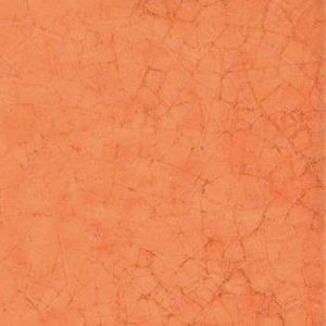 Настенная плитка Maiolica Arancio 20х20 керамическая