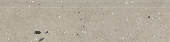 Ступень фронтальная K-2014/MR/st01/300x1200x10 керамогранит матовая Kerranova Etagi