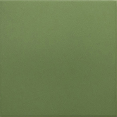 Керамогранит Rivoli Green 20x20 Equipe матовый универсальный 30716