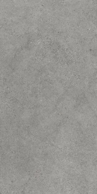 Керамогранит Authority Grey Gres Szkl. Rekt. Mat 59.8x119.8 Paradyz Ceramika матовый универсальная плитка R-R-0,6X1,2-1-AUTH.GR---3