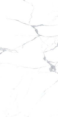 Керамогранит Megnus Statuario One Touch 60х120 полированный универсальный