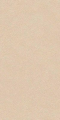 Керамогранит Leatherwood Cuir Beige Nat 3D Rett 60х120 Versace матовый, структурированный универсальная плитка PF60017109