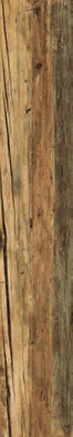 Керамогранит Fs Wild As/19,5x121,5/C/R 19,5x121,5 Peronda матовый универсальный 3369136330 фото Керамогранит Fs Wild As/19,5x121,5/C/R 19,5x121,5 Peronda матовый универсальный 3369136330
