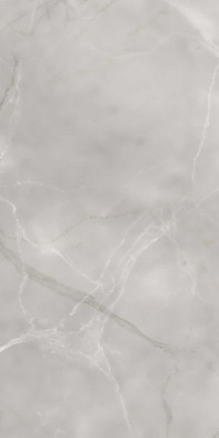 Керамогранит Armani Gris Absolut Gres 60х120 полированный универсальный