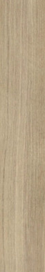 Керамогранит Blues Honey RC 20x120 Azulev матовый, рельефный (рустикальный) напольная плитка 81769