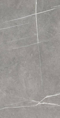 Керамогранит Pav.Nomade Argent Rect Mate-59,5x119,2 Colorker матовый универсальный
