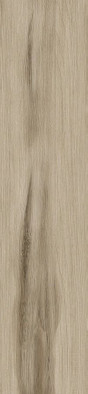 Керамогранит GFU92LND40R Linden 20x90х10 матовый