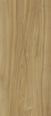 Керамогранит Ewood Camel Nat. 120x270 Urbatek матовый настенная плитка 100332603