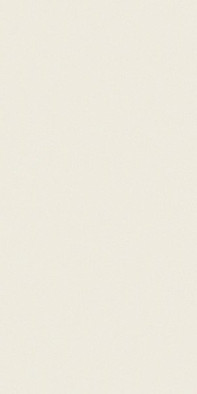 Керамогранит Ultrawhite 50x100x0,55 Silk