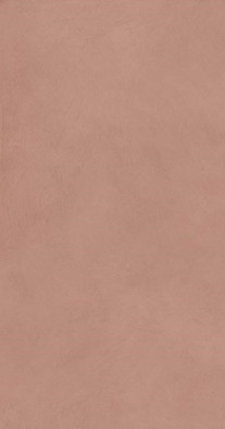 Керамогранит Alter Ego Cotto Nat R 60x120 ABK матовый универсальная плитка PF60016434