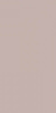 Керамогранит YC52 60x120x10 универсальный, матовый