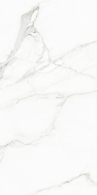 Керамогранит White Beauty Levigato+Rettificato 60x120 универсальный полированный