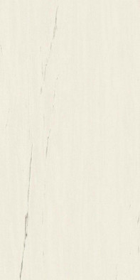 Керамогранит Marvel Bianco Dolomite 60x120 Lappato (A21K) лаппатированный (полуполированный)