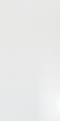 Настенная плитка Solid White Glossy Atlas Concorde Italy 8DSL (28039) 40х80 глянцевая керамическая