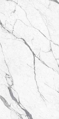 Керамогранит Imperial Statuario Superiore Rett Matt 60x120 Energieker матовый универсальная плитка А007622