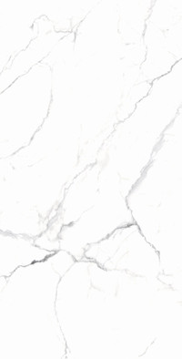 Керамогранит Cararra White 60x120 Rt Arcadia Ceramica матовый универсальная плитка RT7018-A