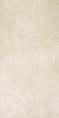 Настенная плитка Roma 50 Pietra-50x120 матовая керамическая