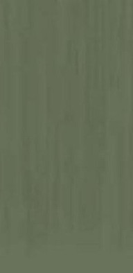 Керамогранит TC Light Green Mat Asia Pacific 60х120 матовый универсальный