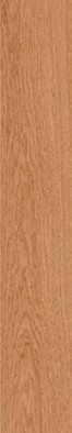 Керамогранит Gracewood Natural 30180 30x180 Sant'Agostino матовый напольная плитка CSAGRWNA18