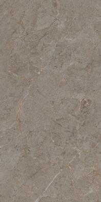 Керамогранит Verona 60х120 Protiles carving универсальная плитка PT12J7051