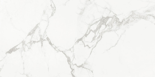 Керамогранит AB 1112G Carrara Classic 60x120 Absolut Gres полированный универсальный