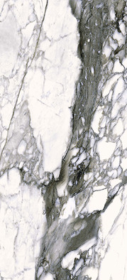 Керамогранит 0500867 The Wild Spirit Cal.Renoir Lx Rt 59.6x119.2 Roberto Cavalli полированный универсальная плитка