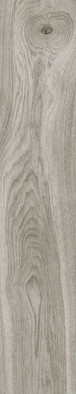 Керамогранит Emotion Hardy Gris 23,3x120, , матовая