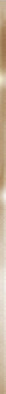 Бордюр BWM51MET808 Metallic Glossy Gold 12х500х7 Almaceramica Металлические бордюры глянцевый керамический фото Бордюр BWM51MET808 Metallic Glossy Gold 12х500х7 Almaceramica Металлические бордюры глянцевый керамический
