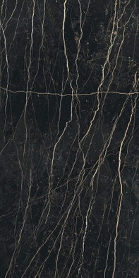 Керамогранит Prexious Thund Night 6 mm Glo 120x240 Ret (756286) REX Ceramiche глазурованный, глянцевый универсальный фото Керамогранит Prexious Thund Night 6 mm Glo 120x240 Ret (756286) REX Ceramiche глазурованный, глянцевый универсальный