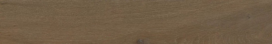 Керамогранит Woodcore Honey Gres Szkl. Rekt. Struktura Mat. 19,8x119,8 g1 Paradyz Ceramika матовый, структурированный напольная плитка RSR-0,2X1,2-1-WOCO.HO