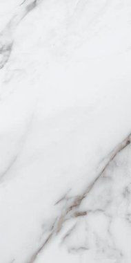 Керамогранит Versilia Marble White 60х120 Rac полированный универсальный фото Керамогранит Versilia Marble White 60х120 Rac полированный универсальный