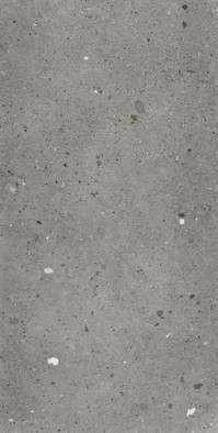 Керамогранит Grigio Scuro Provenza 60x120 матовый универсальный EGP2