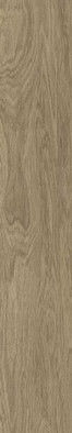 Керамогранит Nuances Natural Rect 20x120 APE Ceramica Tonality матовый универсальная плитка A038798
