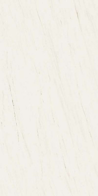 Керамогранит Bianco Dolomite Polished - 12mm ST Plan Atlas Concorde 162х324 полированный универсальный AAVG