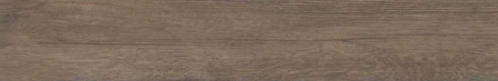 Керамогранит Jungla Teca 19,5x120 Grespania Ceramica S.A. матовый универсальный 19JG99T