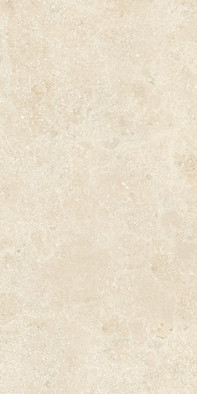 Керамогранит Authentic Montpellie Silk Matt 60x120 Ret REX Ceramiche сатинированный универсальная плитка 784923