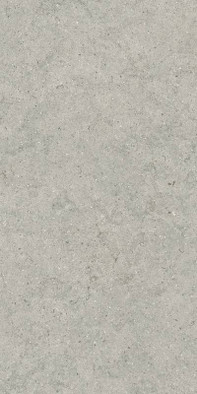 Керамогранит Forum Stone Silver 60x120 Italon матовый универсальная плитка 610010004168