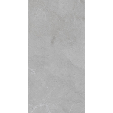 Керамогранит Barcelona Light Grey 60x120 5 мм Matt Staro Slim матовый универсальная плитка С0005748 фото Керамогранит Barcelona Light Grey 60x120 5 мм Matt Staro Slim матовый универсальная плитка С0005748