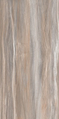 Настенная плитка Esprit Wood WT9ESR21 AltaCera 25x50 глянцевая керамическая фото Настенная плитка Esprit Wood WT9ESR21 AltaCera 25x50 глянцевая керамическая