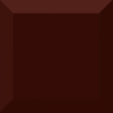 Напольная плитка Monocolor Marron Biselado Brillo 10x10 керамическая