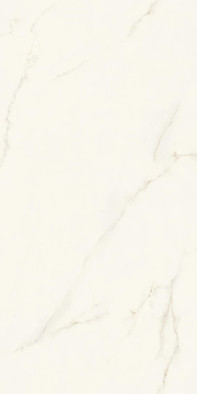 Керамогранит Calacatta Apuano Polished 160x320 Endless Atlas Concorde Italy Marvel X полированный универсальная плитка AJRR фото Керамогранит Calacatta Apuano Polished 160x320 Endless Atlas Concorde Italy Marvel X полированный универсальная плитка AJRR