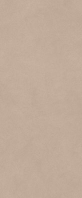 Настенная плитка Boost Natural Pro Skin 50x120 Atlas Concorde Italy матовая керамическая AQ6Q