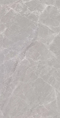 Керамогранит NSC4084 Серый 40х80 NSceramic полированный универсальный