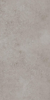 Керамогранит Tokio-R Grafito Vives 60x120 матовый универсальный фото Керамогранит Tokio-R Grafito Vives 60x120 матовый универсальный